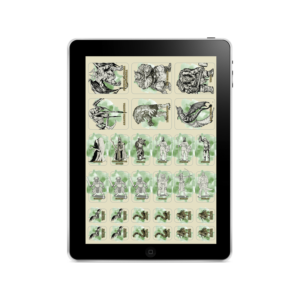 The Hero's Journey Pawns - Digital